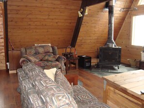 Flat-screen TV, fireplace, DVD player - Wudenknipple (Bessemer)