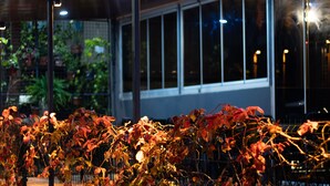 Un edificio con ventanas amplias y una cerca adornada con hojas otoñales.
