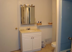 Bathroom - Cary Mine House (Hurley)