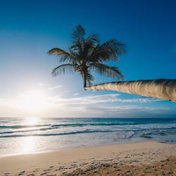 On the beach, white sand, free beach cabanas, sun loungers