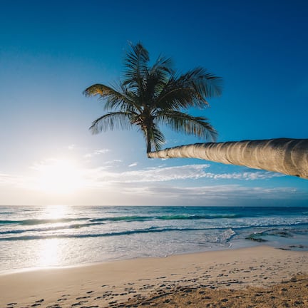 On the beach, white sand, free beach cabanas, sun loungers