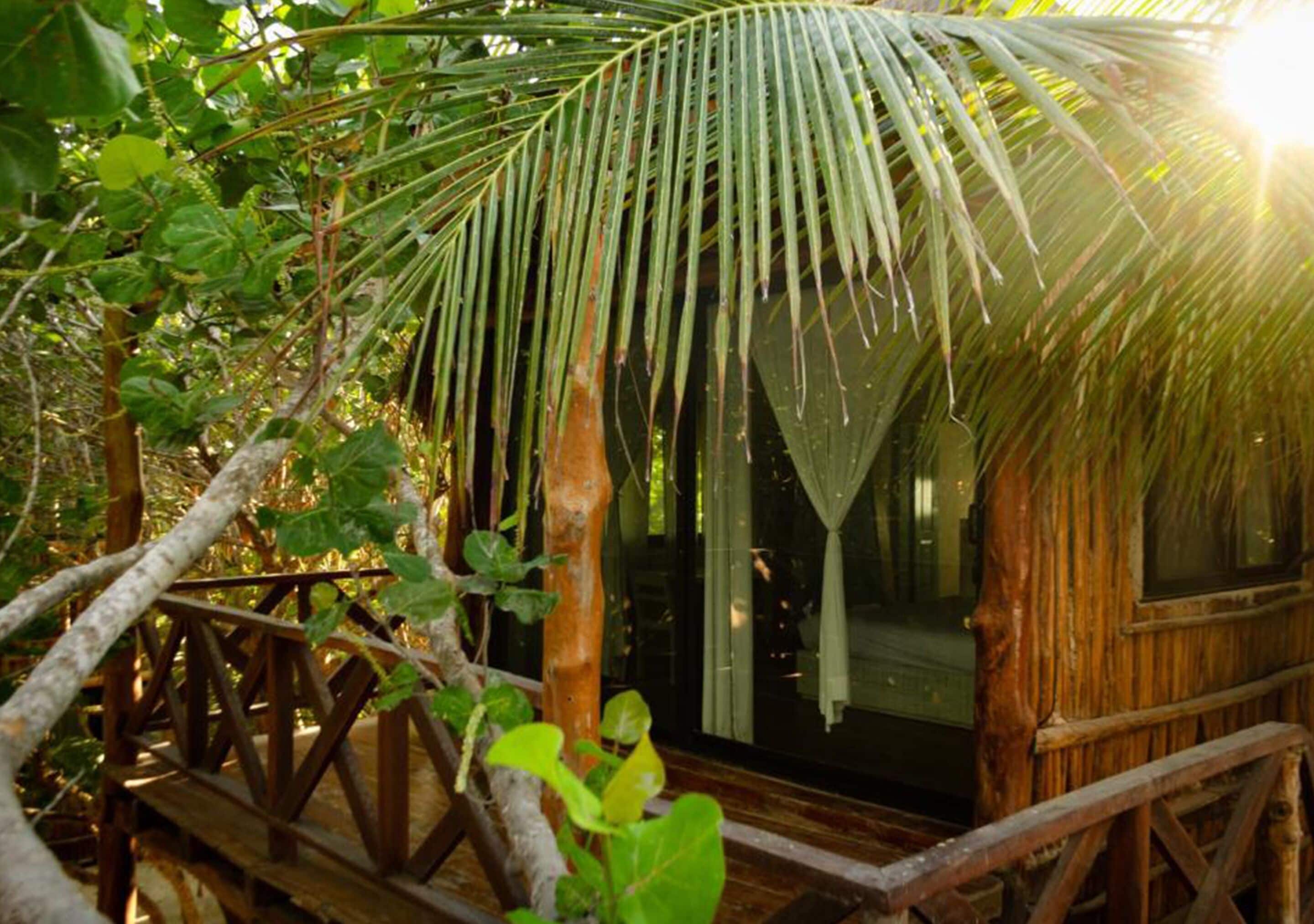 luxury room, 1 bedroom, terrace | garden view