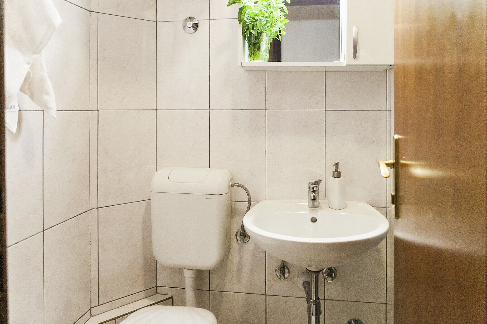 Bagno con toilette, lavabo e un piccolo oblò con una pianta.