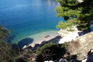 A coastal landscape with clear blue water, rocky shore, and pine trees. - Apartment in Gata near Adriatic Sea (Gata)