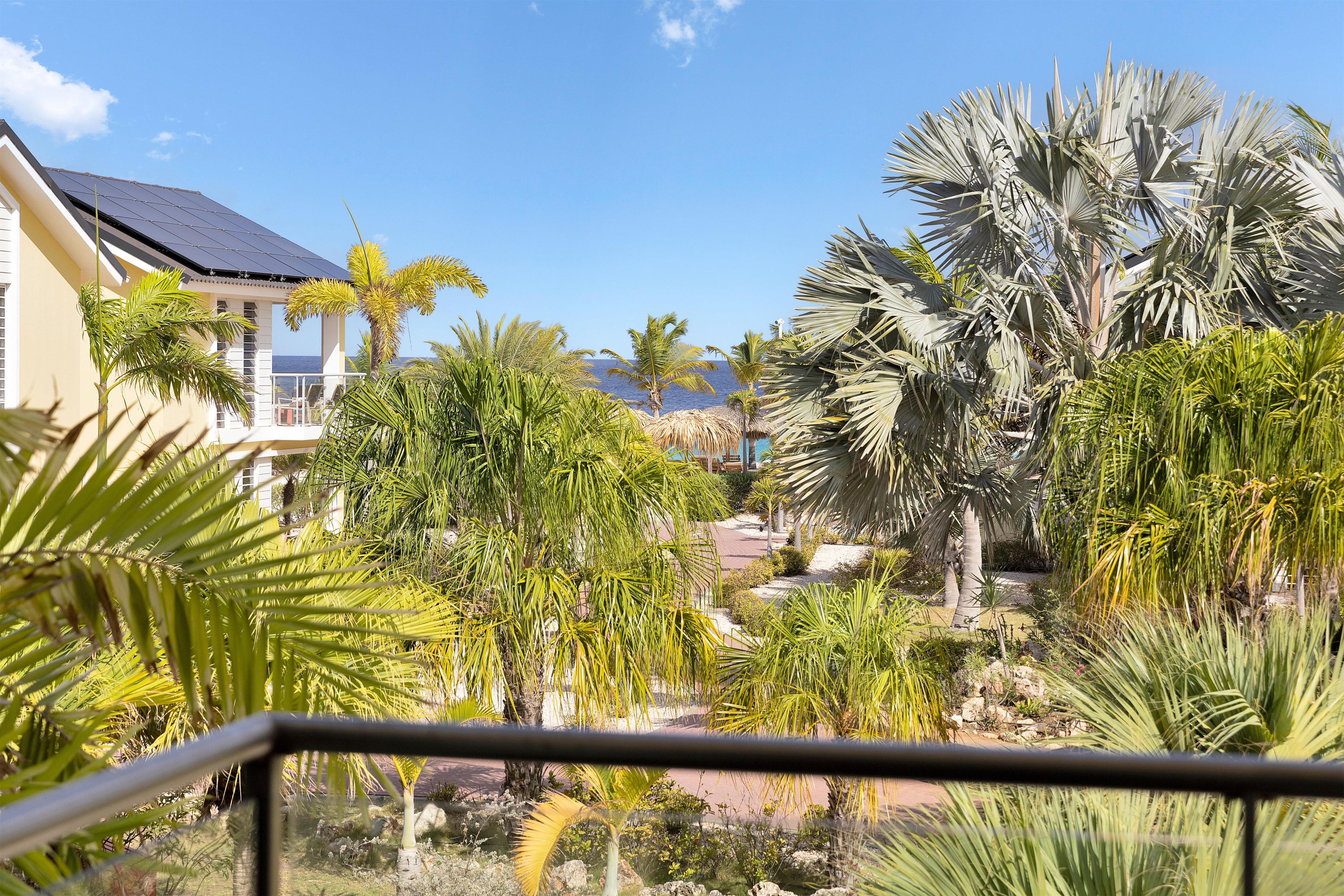 A tropical garden with palm trees and a view of the sea.