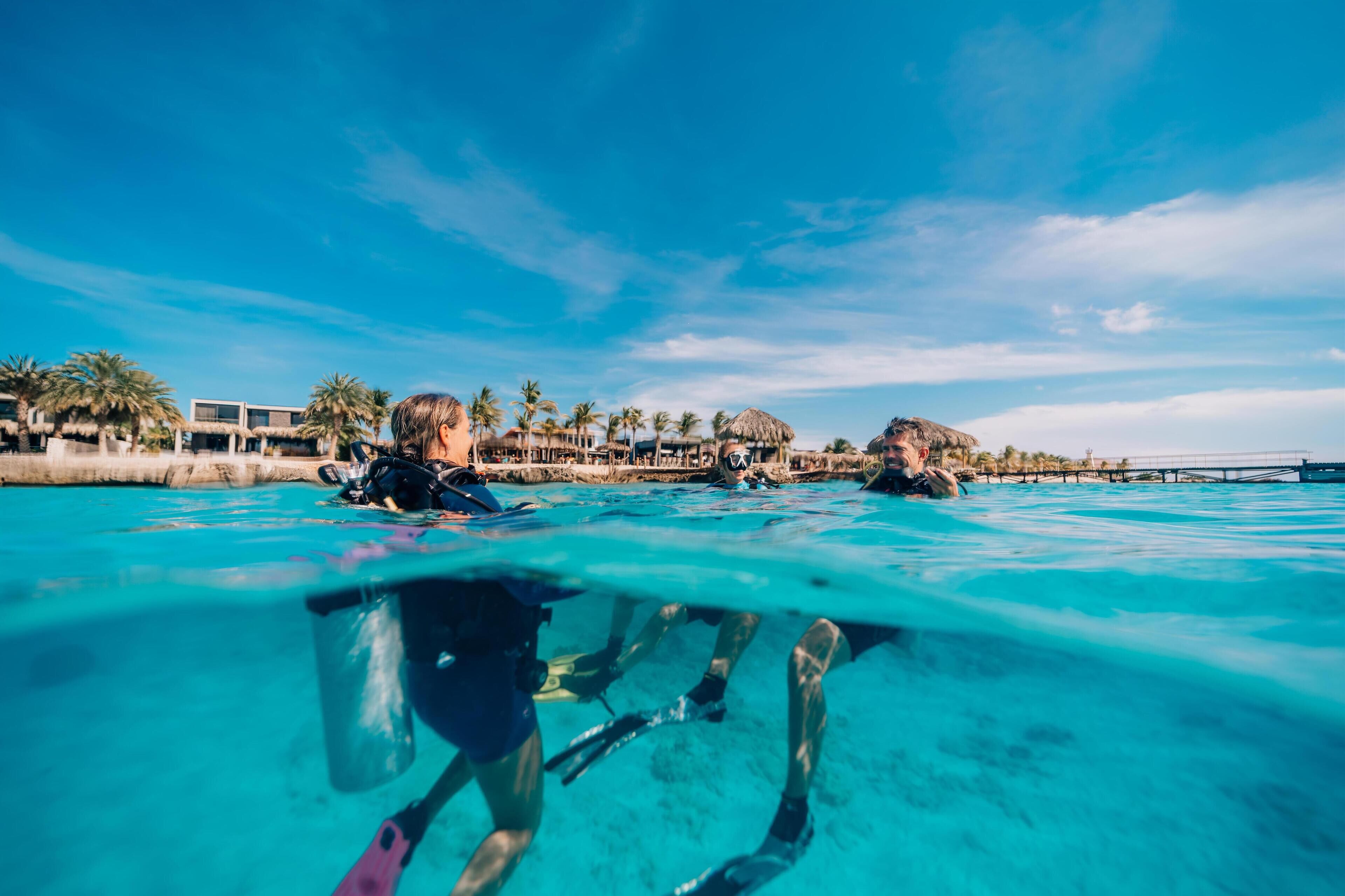 Servizio della struttura