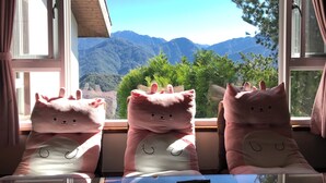 Una habitación con vistas a las montañas a través de una ventana, con tres almohadas suaves decoradas con caras de osos.