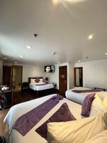 Premier Family M5 | In-room safe, desk, soundproofing, iron/ironing board