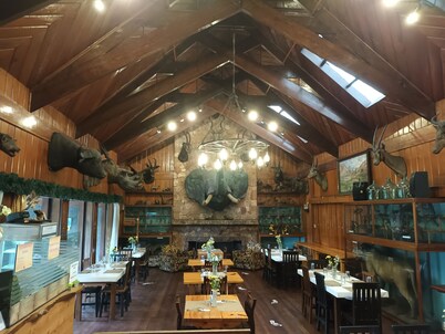 Log Cabin Hotel-Baguio