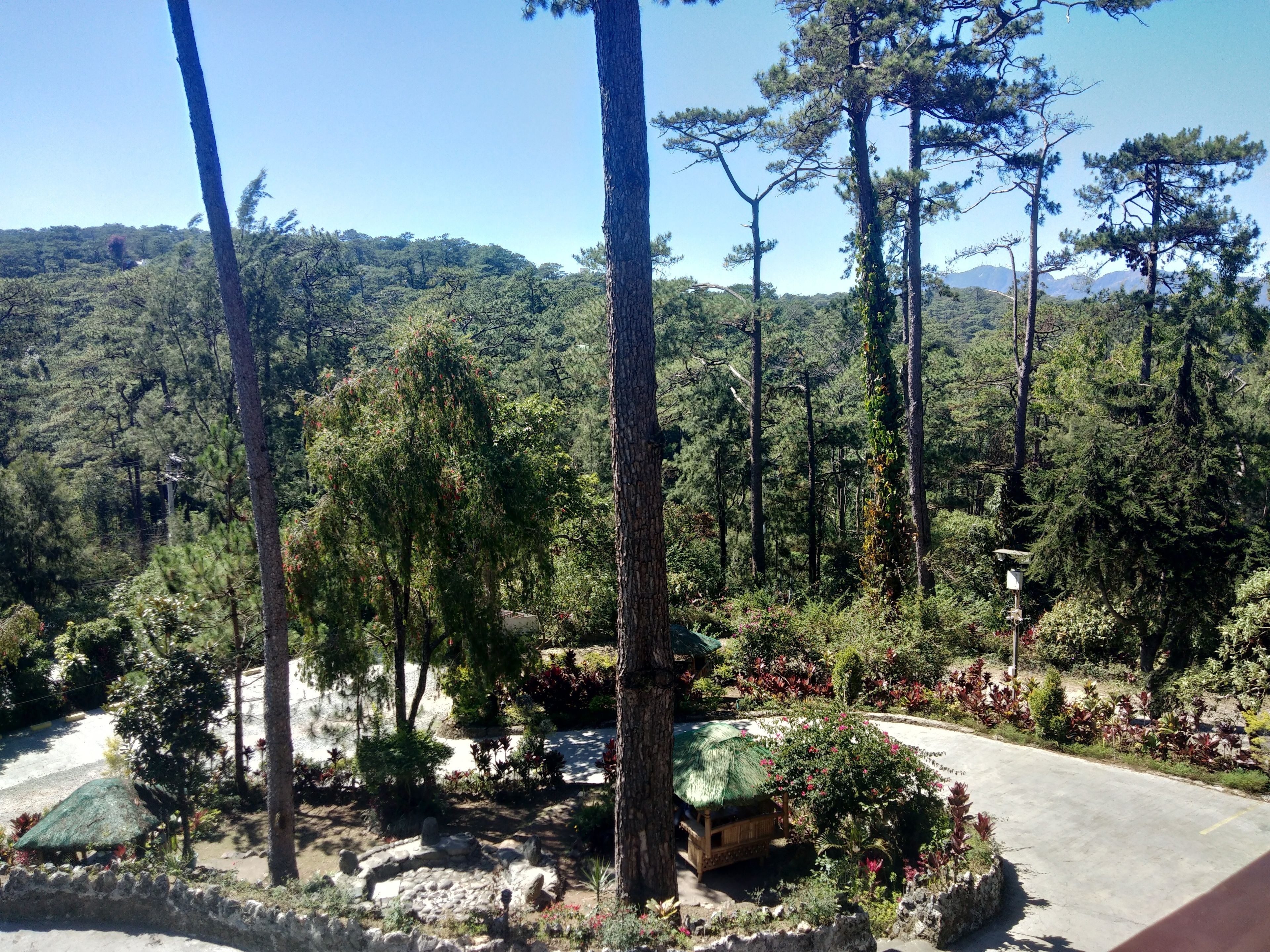 deluxe m8 | front of property