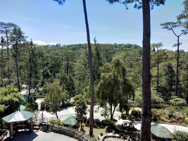 A forested area with a gazebo, thatched-roof structures, and a stone pathway. - Log Cabin Hotel-Baguio (Baguio)