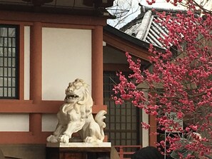 住宿景觀