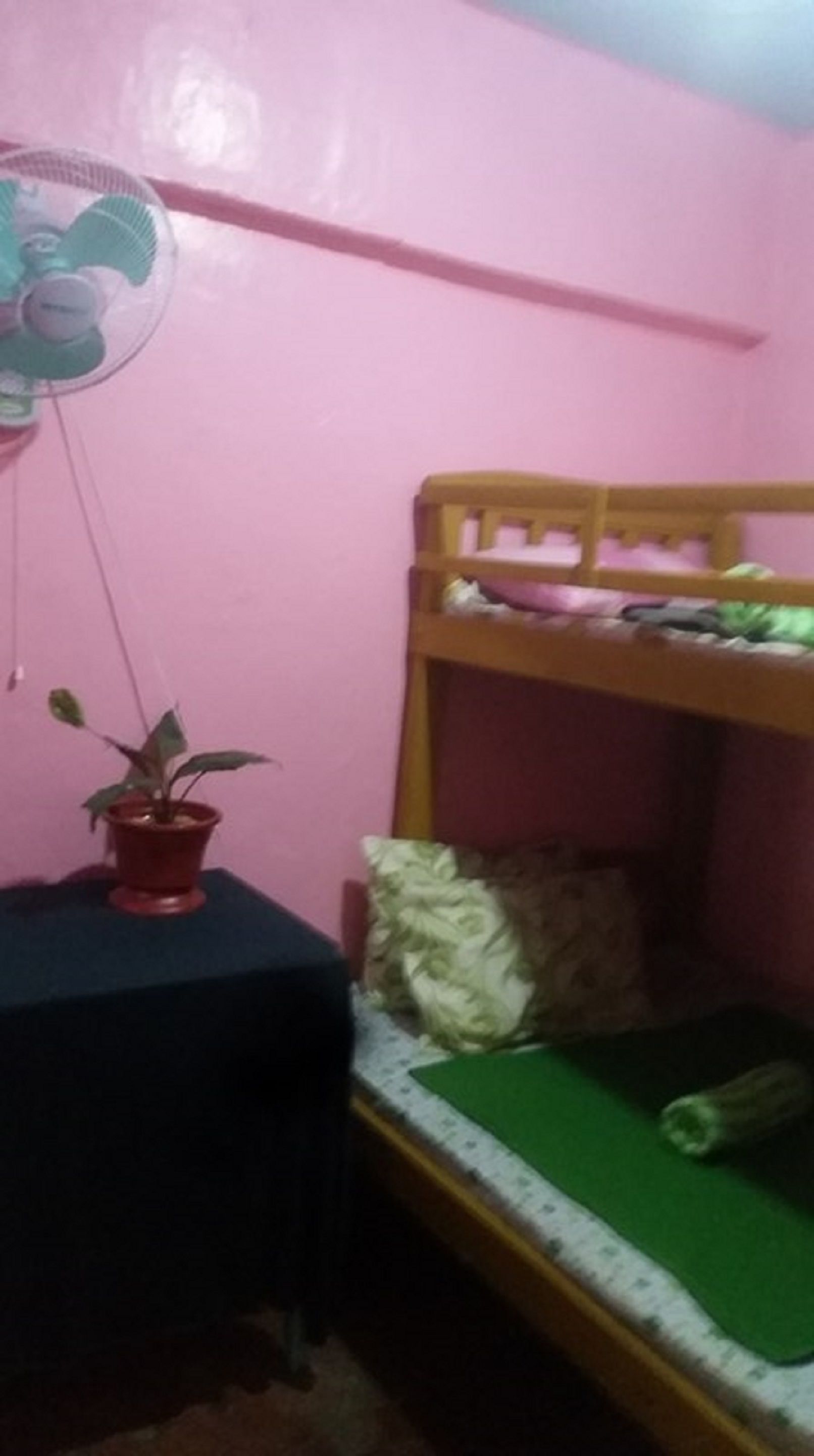 Una cama individual con colchón verde, una mesita con planta en maceta y un ventilador fijado a la pared.