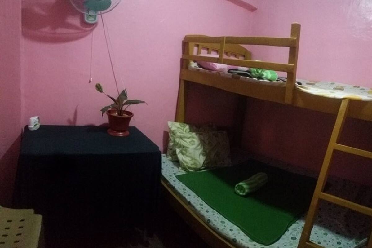 A bunk bed with a green mattress, a small table with a potted plant, and a fan on the wall.