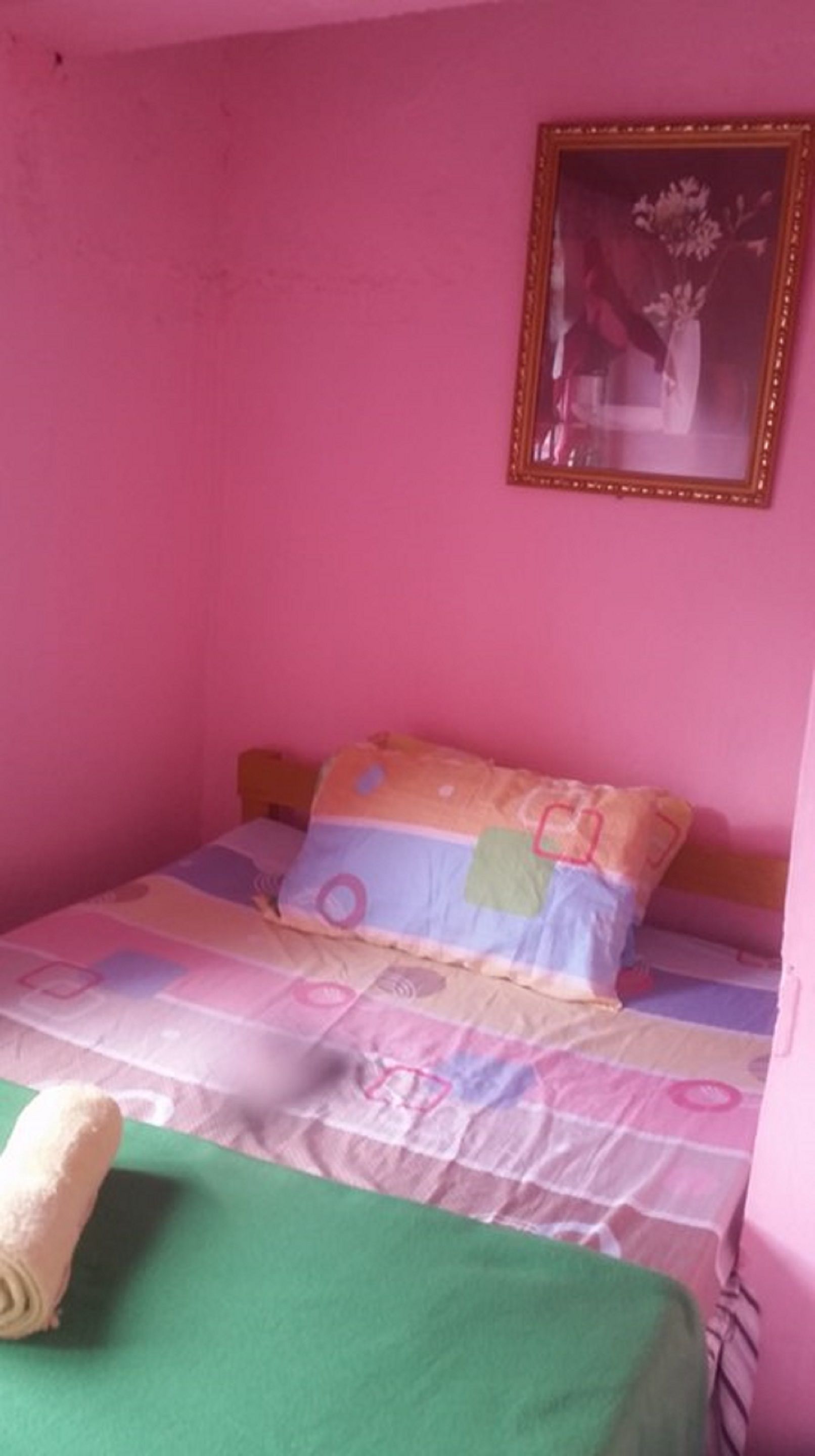 A small, pink-walled room with a single bed featuring a colorful quilt and a green blanket. A framed picture hangs on the wall above the bed.