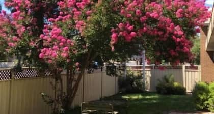 Eaglehawk Motel