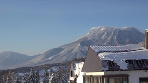 Una montaña con picos nevados y un edificio con techo inclinado en primer plano.