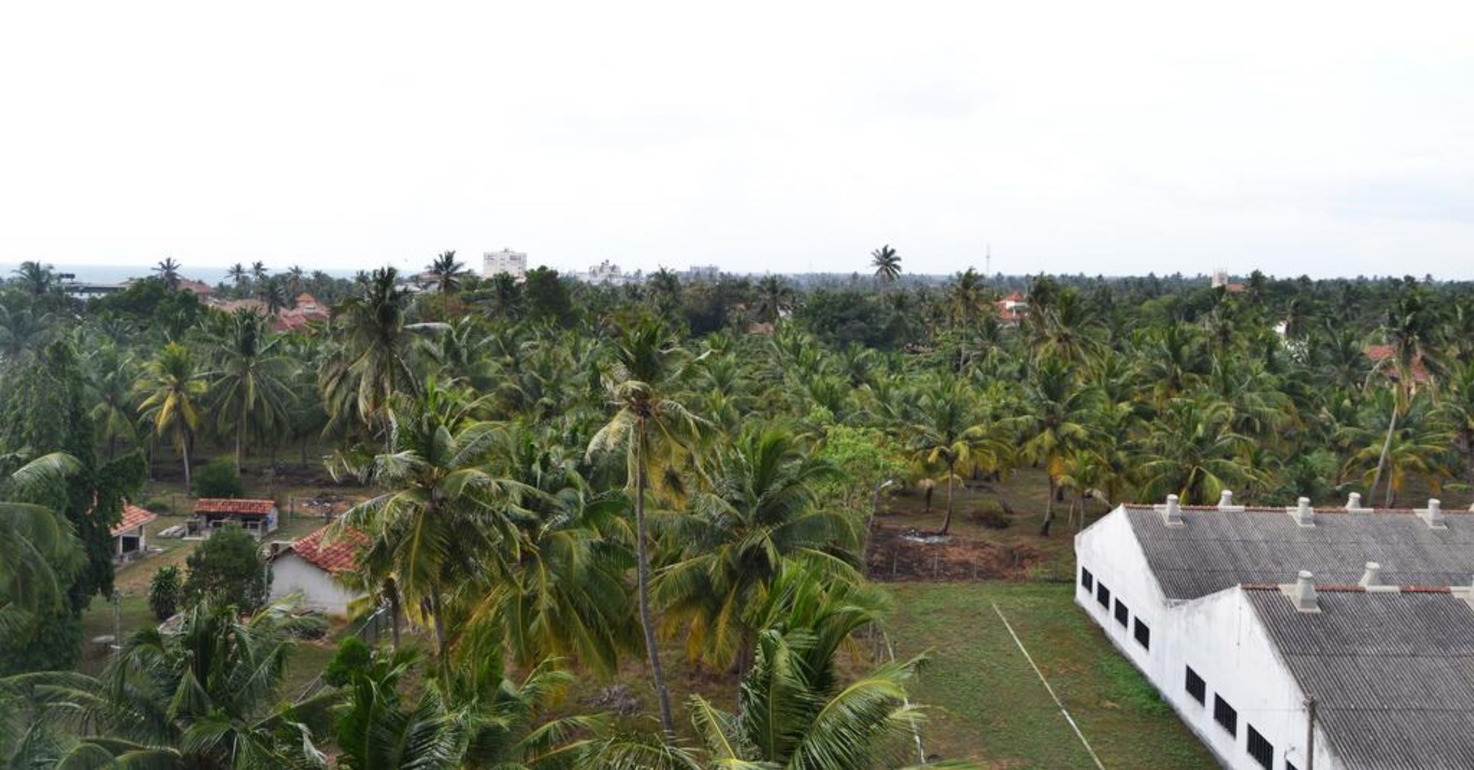 Foto - Leighton Resort