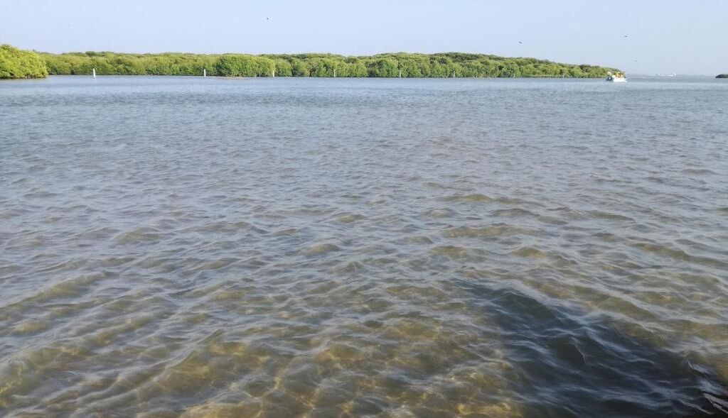 Foto - Leighton Resort