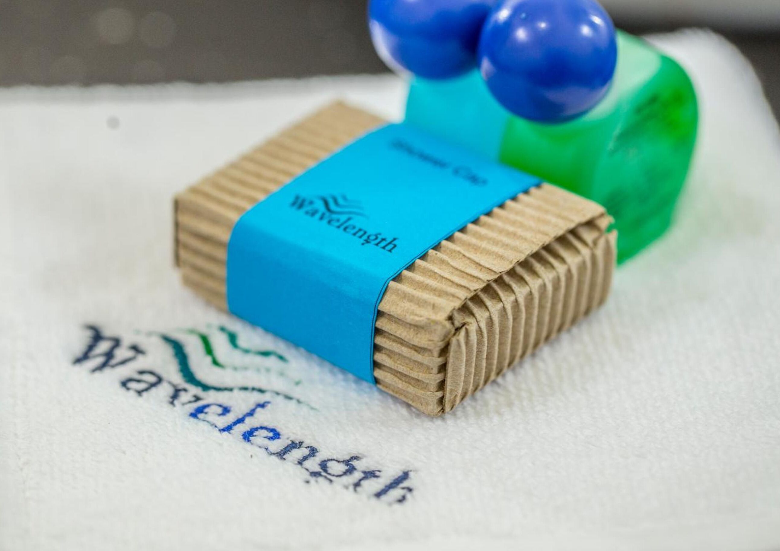 shower, free toiletries, hair dryer, bidet