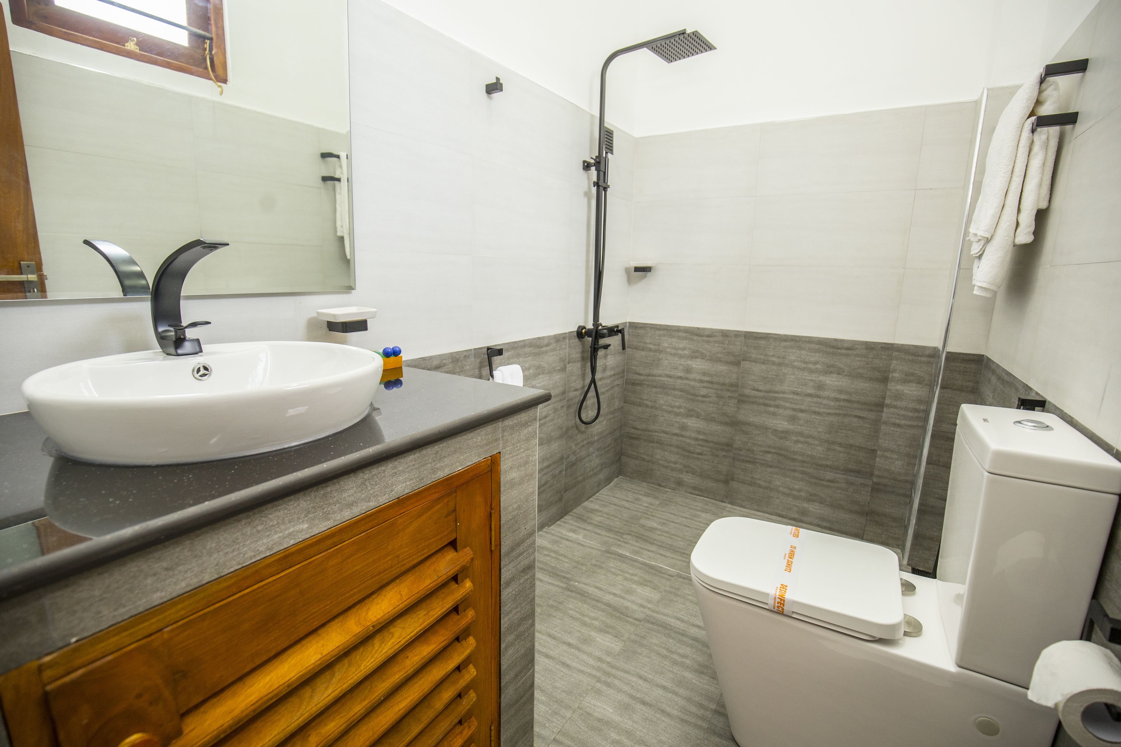 deluxe double room | bathroom | shower, free toiletries, hair dryer, bidet