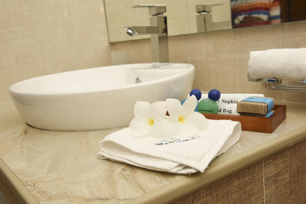 deluxe double room | bathroom | shower, free toiletries, hair dryer, bidet