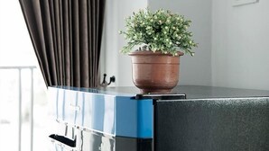 A potted plant on a black and blue cabinet in a room with a white wall and a window with curtains. - Yada Living (Surat Thani)
