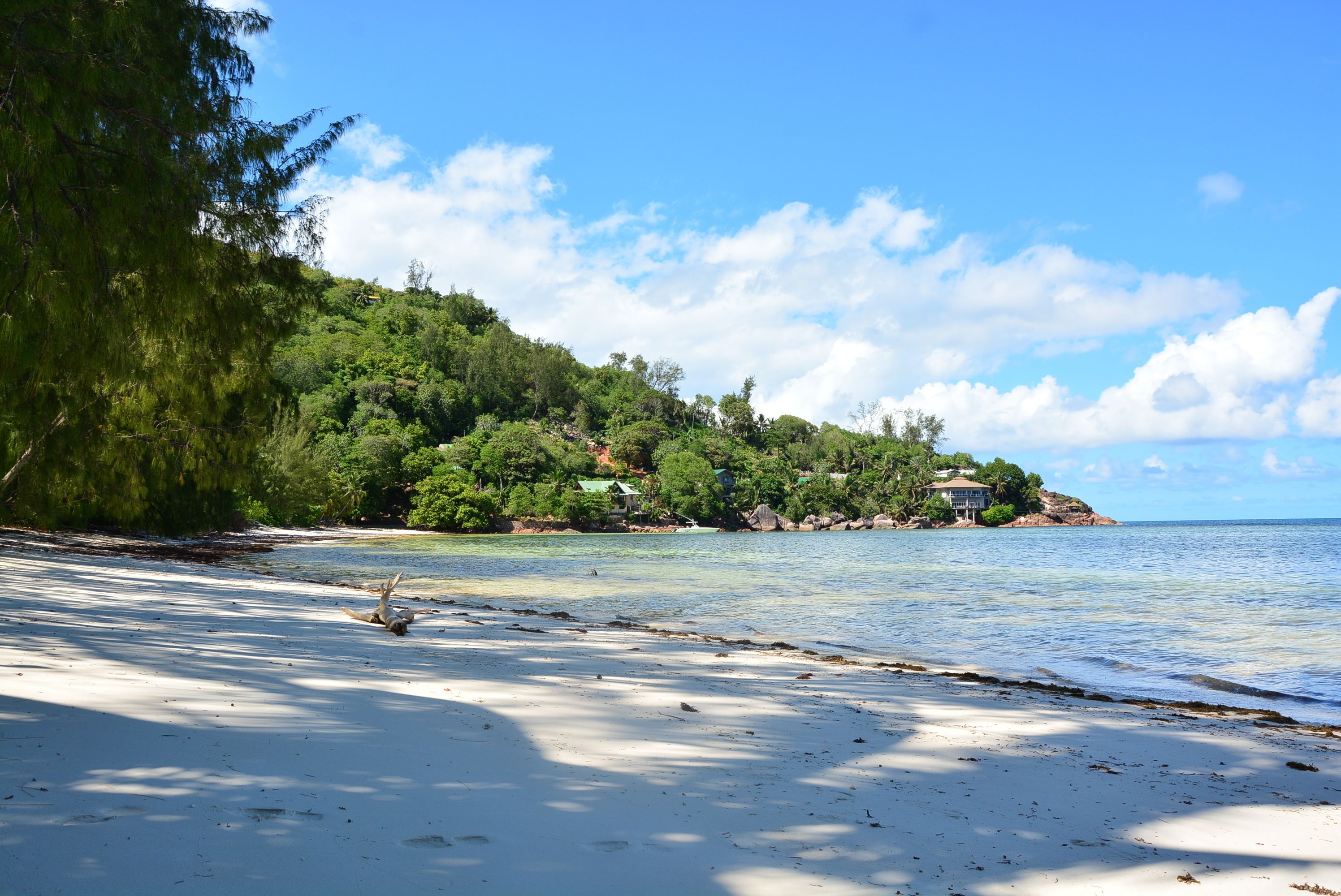 Uma praia com águas cristalinas, costa arenosa e uma colina arborizada com casas.
