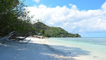Una playa cerca