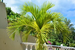 Terrace/patio - Villa Anse La Blague (Praslin Island)