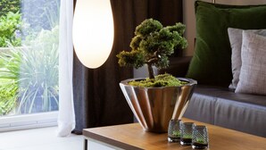 Un salon moderne avec une grande fenêtre, un arbre bonsai en pot, un canapé avec des coussins verts et gris, et une lampe sur pied.