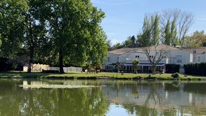 A serene lakeside view with a large tree, a house with a tiled roof, and a clear sky. - Le Renaissance (Mont-de-Marsan)