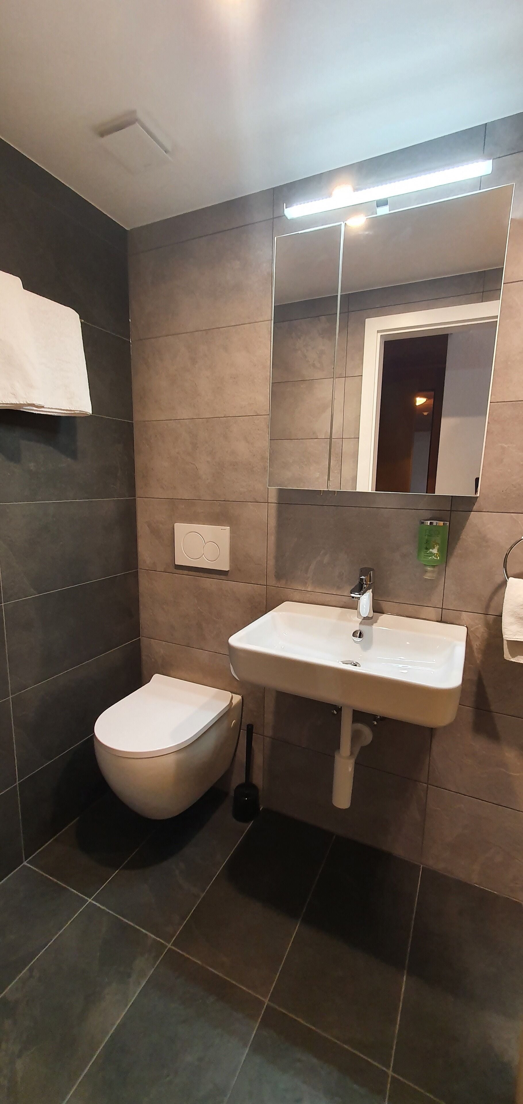 A modern bathroom with a toilet, sink, and mirror.