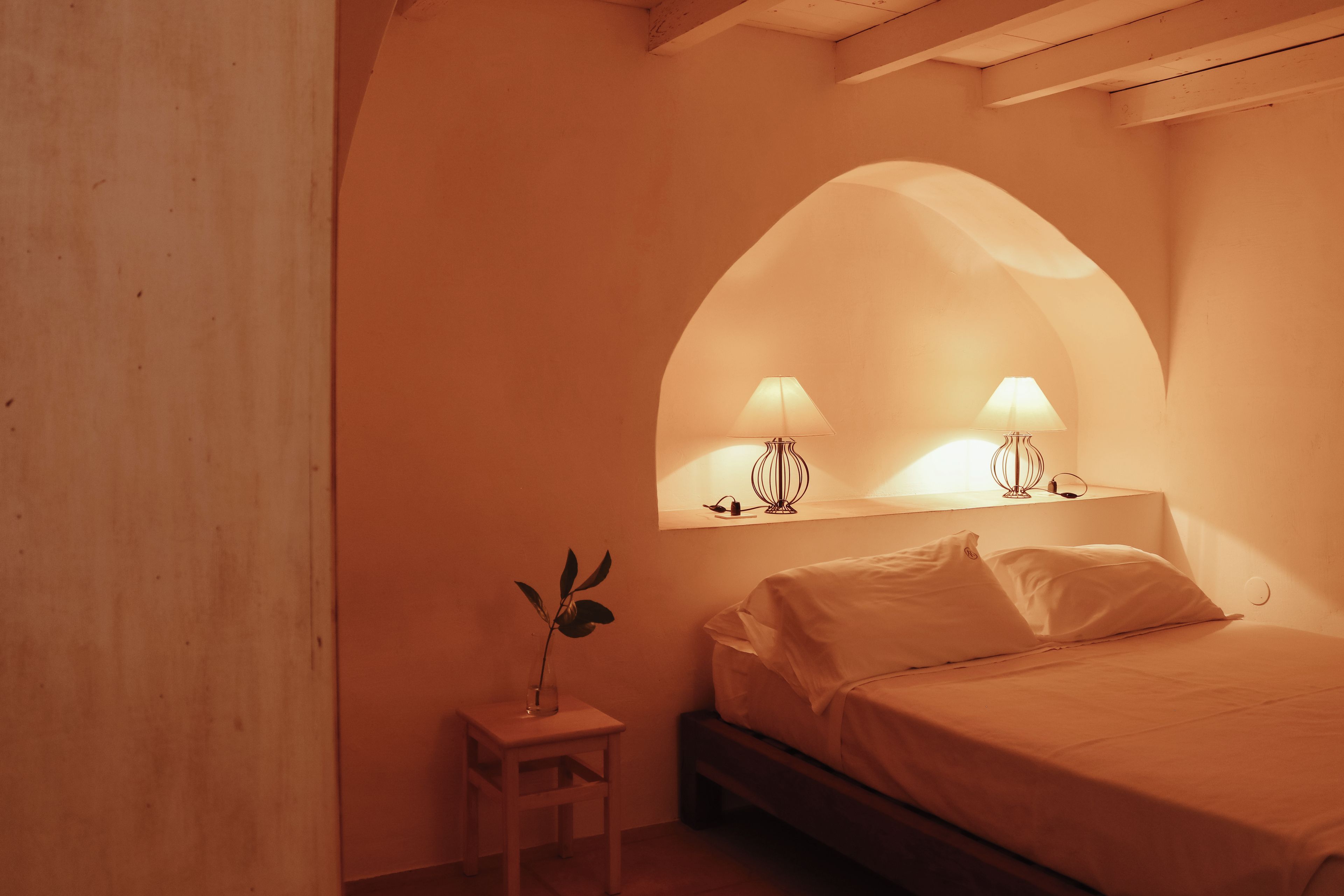 Un dormitorio con una cama, una mesita de noche con lámpara y una planta.