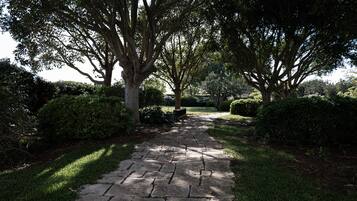 A stone pathway leading through a garden with mature trees and well-maintained grass.