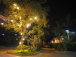 Guest House | 住宿正面 - 傍晚/夜晚