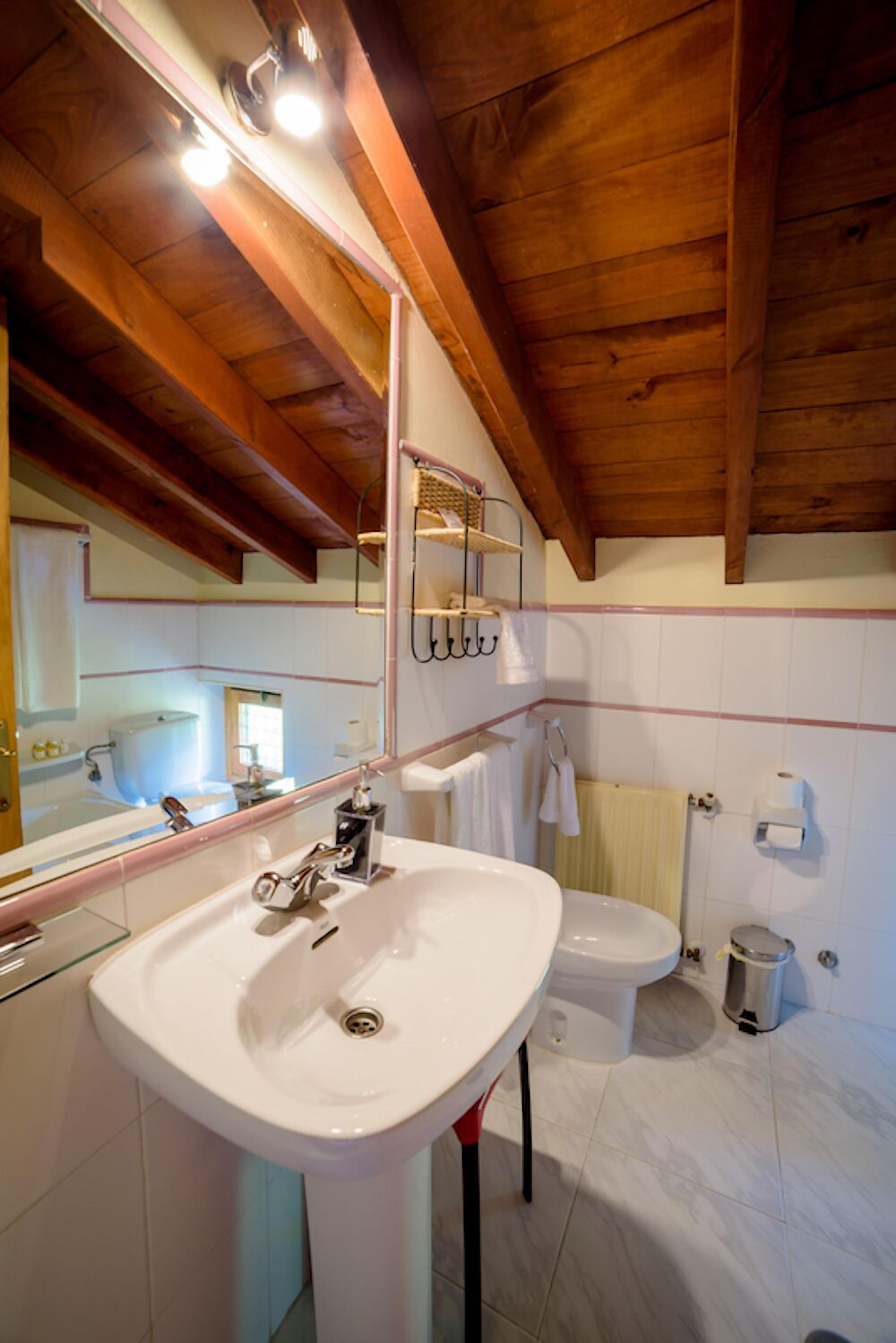 comfort double room, private bathroom, mountain view | bathroom