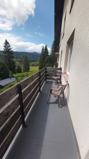 Apartment, 2 Bedrooms, Kitchenette | Balcony - Penzion DIANA (Zelezna Ruda)