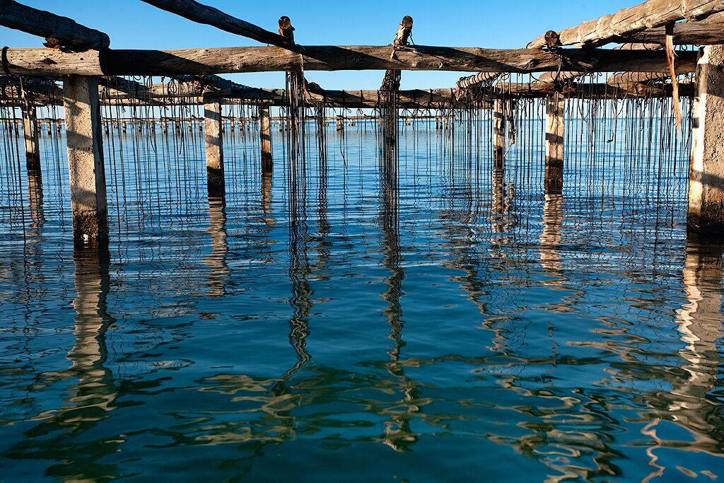 Una estructura de madera con cuerdas que cuelgan sobre el agua, reflejando el cielo.