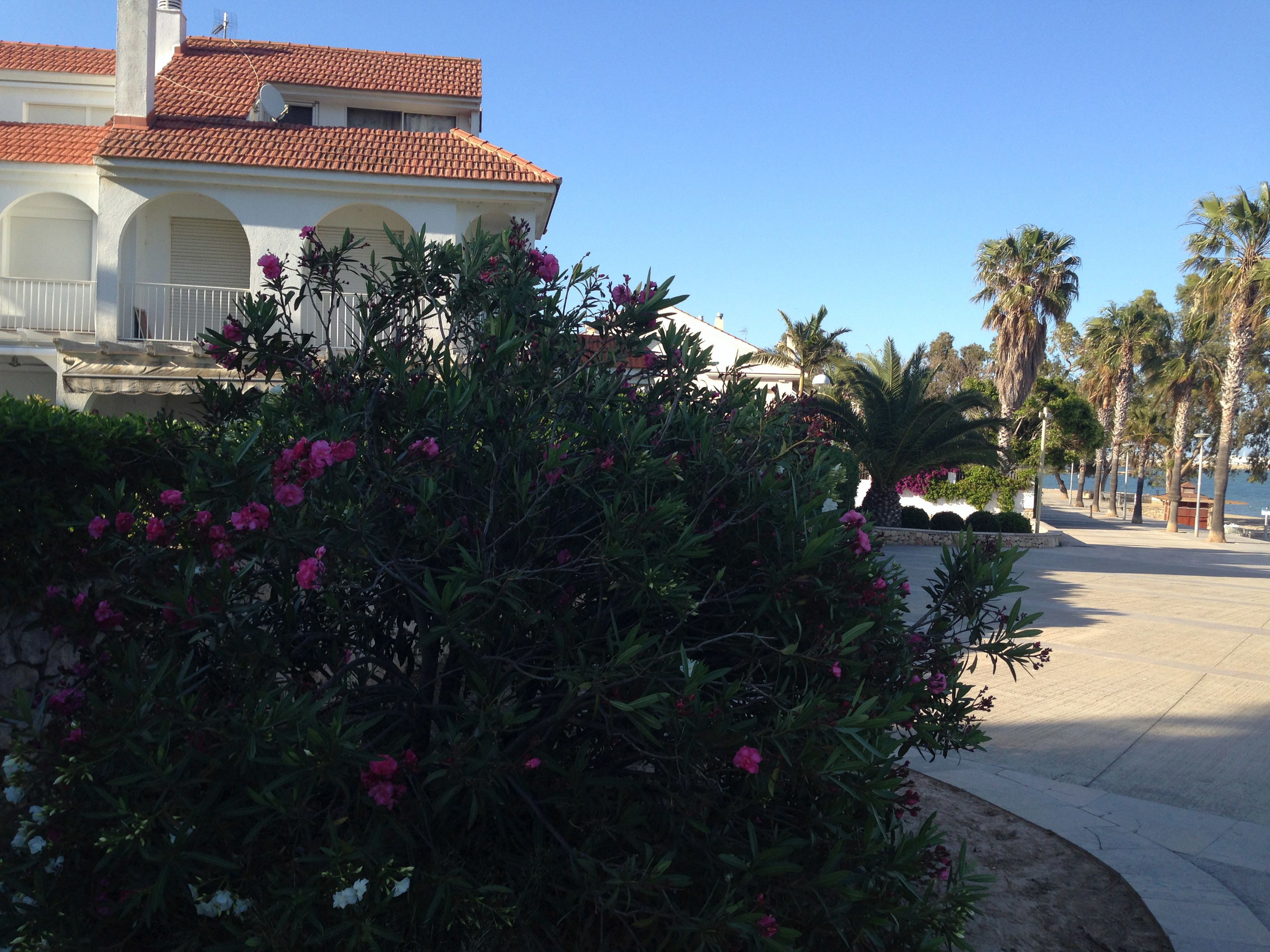 A building with a tiled roof and a balcony.