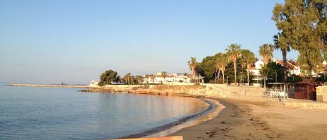A beach with a wooden bench, calm water, and a row of houses in the background.
