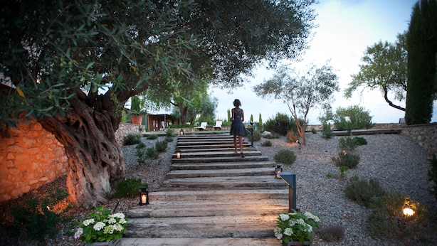 A stone pathway leading to a building with a rustic design, surrounded by olive trees and potted plants. - Mas Falgarona Hotel Boutique and Spa (Avinyonet de Puigventos)