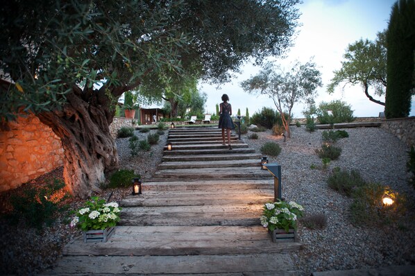 Deluxe-Suite | Ausblick vom Zimmer