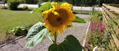Dettaglio esterni