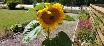 Målerås Vandrarhem B&B