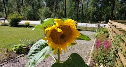 Målerås Vandrarhem B&B