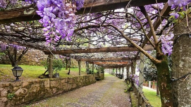 Basic Double or Twin Room, Garden View | Terrace/patio - Pazo de Adrán (Teo)