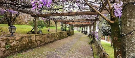 Basic Double or Twin Room, Garden View | Terrace/patio
