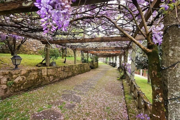 Quarto casal ou duplo básico, vista para o jardim | Terraço/pátio