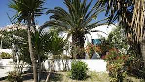 A garden with palm trees and flowering plants, a white building with a blue window, and a clear blue sky. - Kostantakis Winery & Residence (Milos)